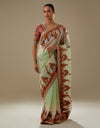Pista Sunehri Ombre Saree