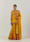 Mustard Nandani Kurti And Organza Sharara And Dupatta