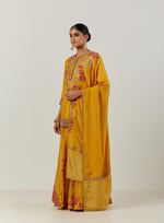 Mustard Nandani Kurti And Organza Sharara And Dupatta