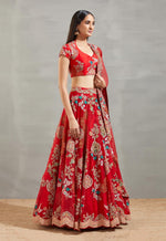 Red Organza Anar Embroidery Lehenga Set