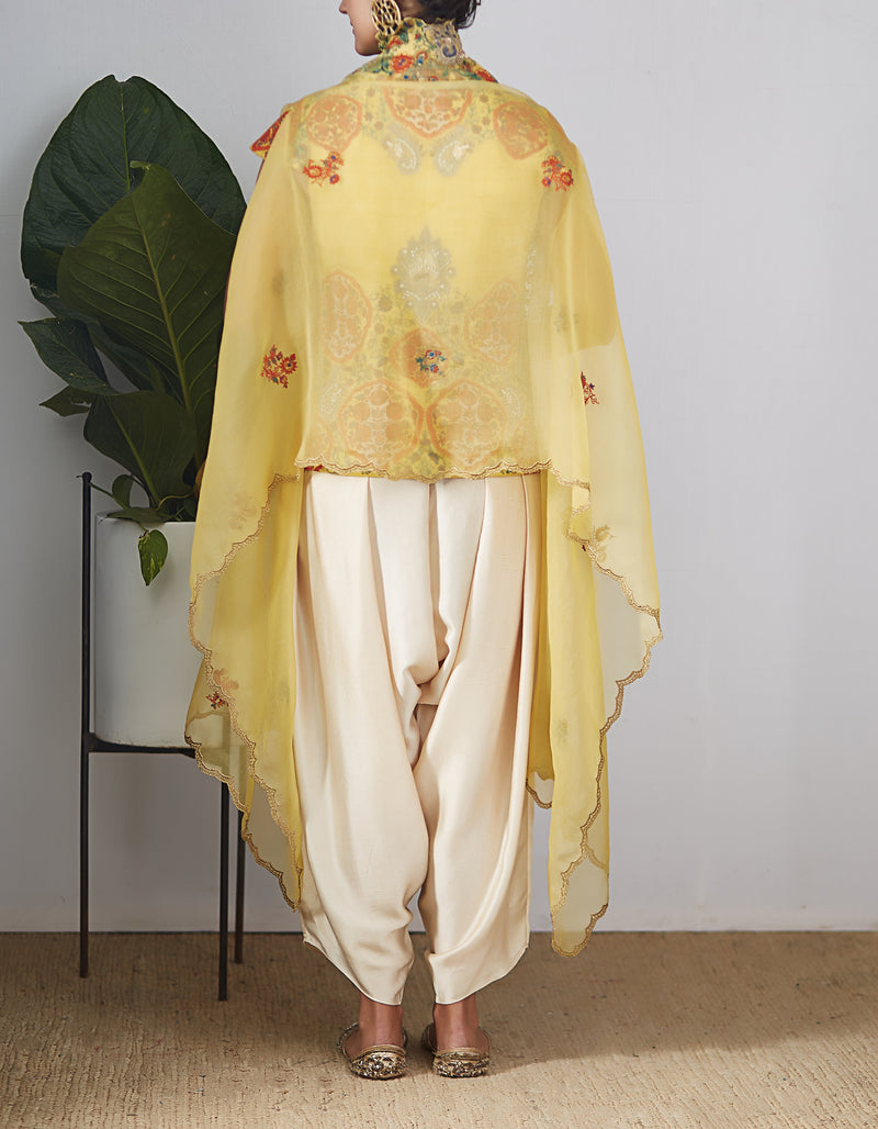 Gold Organza Embroidered Cape Jacket Set