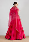 Magenta Salim Raw Silk Jacket With Skirt And Organza Dupatta