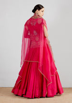 Magenta Salim Raw Silk Jacket With Skirt And Organza Dupatta