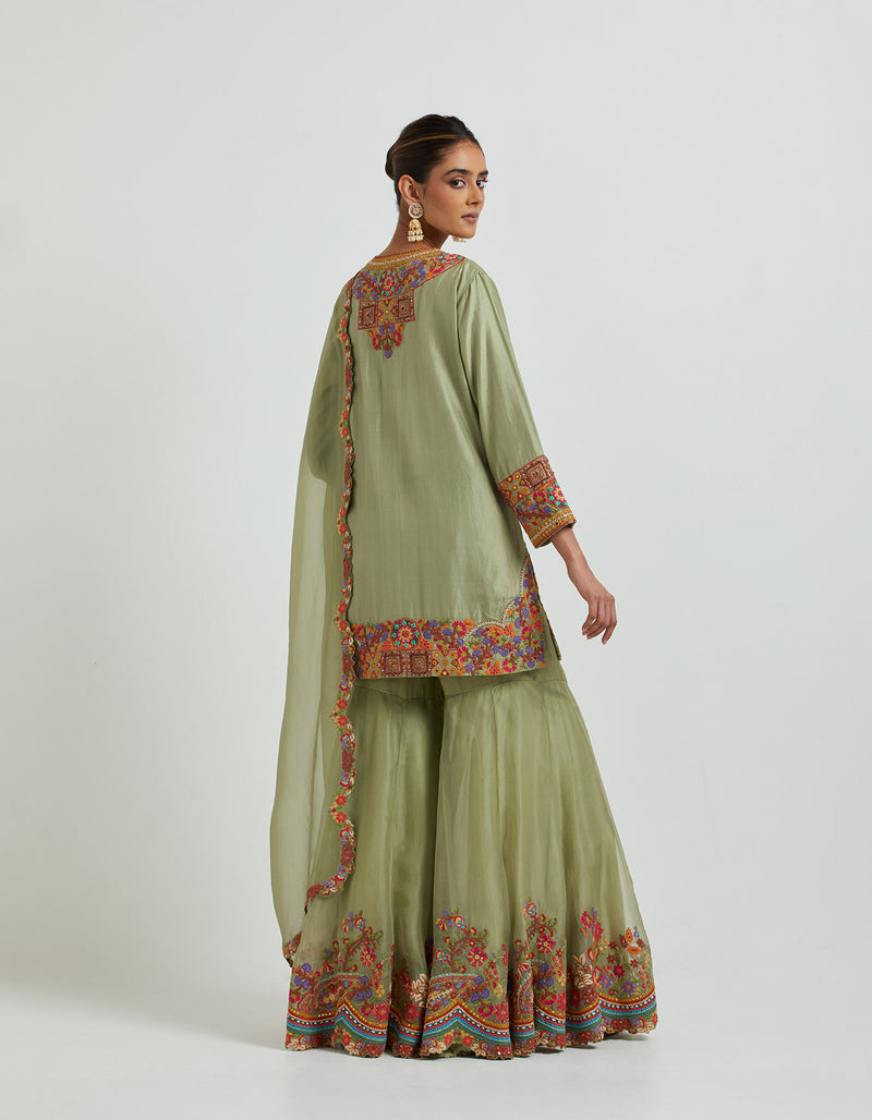 Pista Green Sharara Set with Embroidery